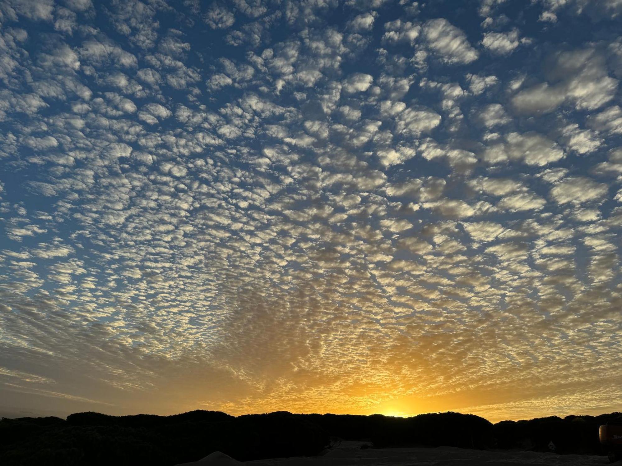 Atico Sonnenschein Apartment Jerez de la Frontera Bagian luar foto