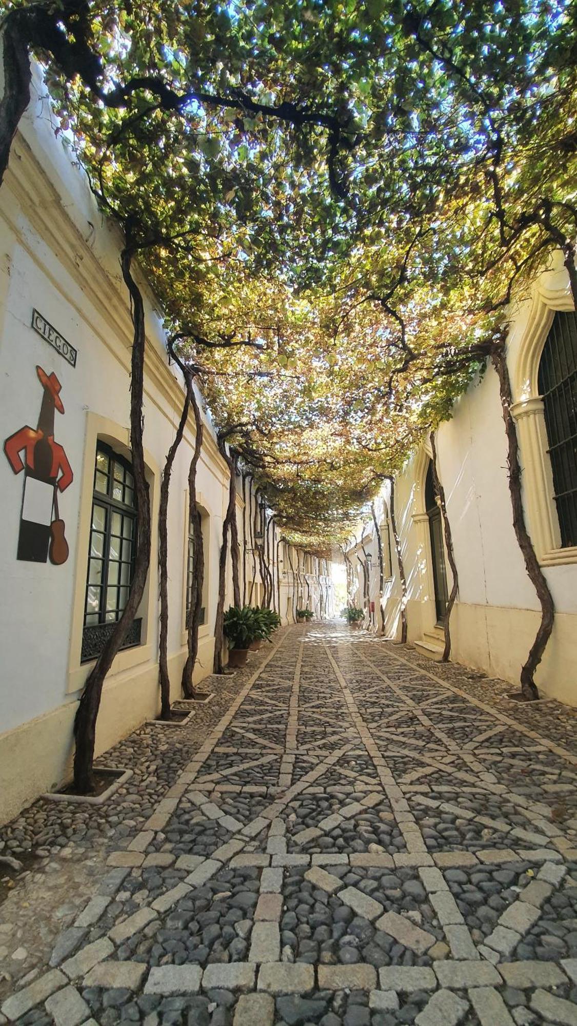 Atico Sonnenschein Apartment Jerez de la Frontera Bagian luar foto